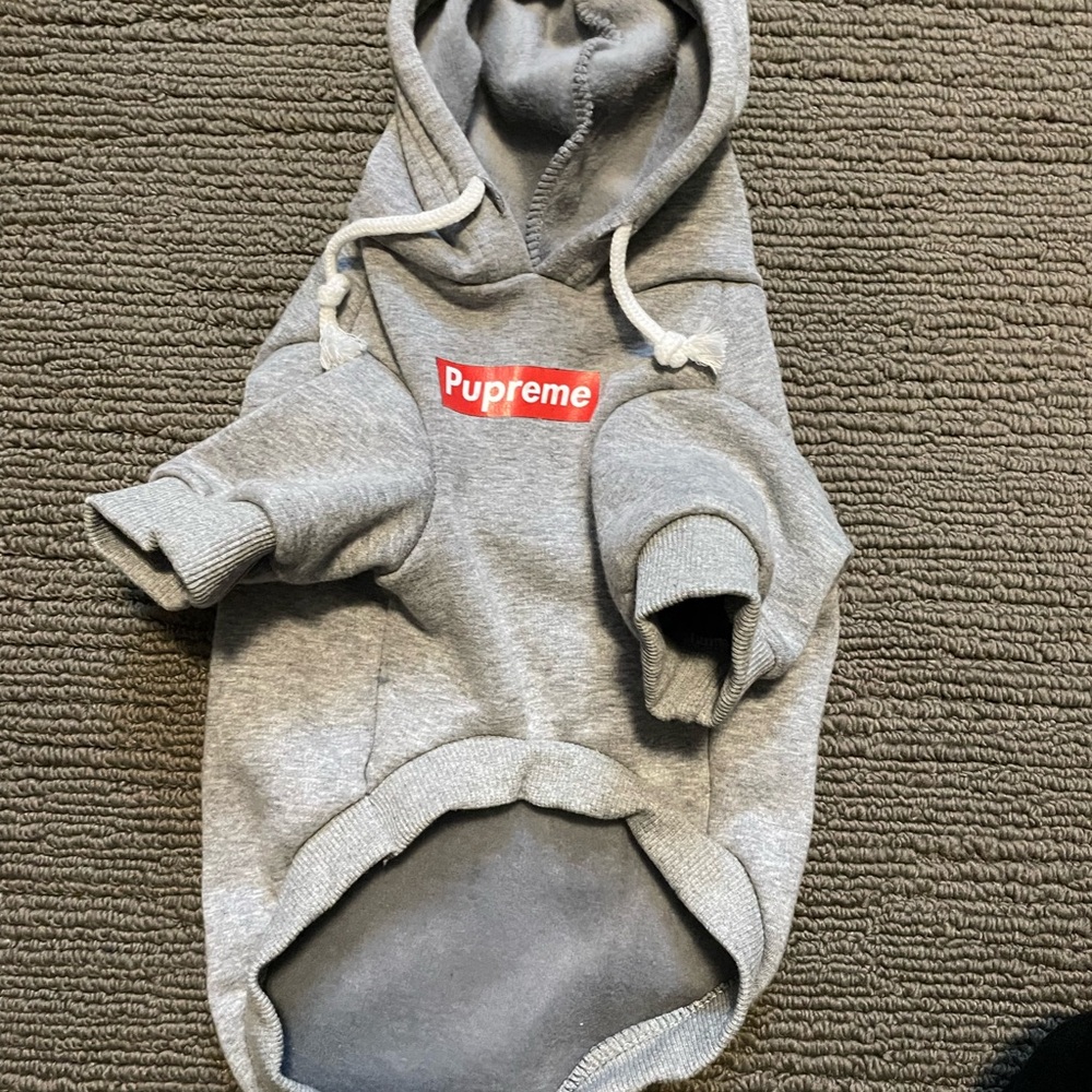 Gray Dog Hoodie